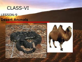 CLASS-VI LESSON-9 Desert Animals 