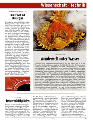 Wissenschaft · Technik
     M AT E R I A L F O R S C H U N G


        Kunststoff mit
         Bluterguss
Ein Material mit verblüffenden Selbst-
heilungskräften haben Forscher bei ei-
nem Expertentreffen in den USA prä-
sentiert. Der Chemiker Marek Urban
von der University of Southern Missis-
sippi in Hattiesburg hat ein Polymer
entwickelt, das bei Kratzern oder Ris-
sen ähnlich reagiert wie die menschli-
che Haut: Einem Bluterguss vergleich-
bar bilden sich rund um die aufgetrete-
nen Schäden erst rötliche Flecken; da-
nach kann durch Licht ein im Material
enthaltener Reparaturmechanismus




                                                                                                                                                               DAVID HALL / SEAPHOTOS.COM
aktiviert werden, der die zugrunde lie-
genden Molekülbrüche selbsttätig kit-
tet. „Unser neuer Kunststoff versucht
die Natur zu imitieren, indem er auf
Schäden mit einem sichtbaren Signal                                     Red Irish Lord
hinweist und sich anschließend selbst
erneuert“, erklärt Urban. Für solche
an biologischen Systemen orientierten                                                                          FOTOGRAFIE
Werkstoffe gibt es nach Ansicht der
Forscher eine Vielzahl von Anwen-
dungsmöglichkeiten. Denkbar wären
Plastikgehäuse für Handys oder Lap-
tops, bei denen Sprünge von selbst
                                                                                   Wunderwelt unter Wasser
wieder zusammenwachsen; oder Auto-                                     Kunstwerk oder wissenschaftliche Fotografie? Mit den Bildern, die er in den
teile, deren Kratzer in der Sonne ver-                                 Tiefen des Nordpazifiks macht, gelingt David Hall beides. Der Zoologe, leiden-
heilen. Und Flugzeugingenieure könn-                                   schaftlicher Taucher und Fotograf aus New York, hat im Laufe von 15 Jahren die
ten anhand der roten Flecken an der                                    kalten Gewässer mit der Kamera erforscht und dabei einen Kosmos von uner-
Oberfläche entscheiden, ob für Risse                                   hörter Farbenpracht dokumentiert, der jetzt in seinem Band „Unbekannte Kalt-
im Material eine simple Lichttherapie                                  wasserwelten“ zu betrachten ist (Frederking & Thaler; 39,95 Euro). Wie Gemälde
genügt oder ob die defekten Teile                                      wirken die Bilder von Algenwäldern; die Wanderungen der Lachse gleichen Or-
besser ersetzt werden sollten.                                         gien von Rot und Grün. Und Seenelken, Medusensterne oder der Red Irish Lord,
                                                                       einer der spektakulärsten Fische des Nordpazifiks, leuchten wie psychedelische
                                                                       Kostbarkeiten. „Unter Wasser sind wir unbeholfene Neulinge“, schreibt Hall,
                                                                       der mit seinen Fotomodellen wiederholt Abenteuerliches erlebte: Neugierige
                                                                       Seelöwen etwa, die größten Exemplare rund tausend Kilogramm schwer, umzin-
                                          WODICKA / BILDMASCHINE.DE




                                                                       gelten den Eindringling auf einer seiner Expeditionen. Der New Yorker Fotograf
                                                                       rückte auch monströsen Wesen wie dem 2,5 Meter langen Seewolf, gigantischen
                                                                       Quallen oder dem furchterregenden Pazifischen Riesenkraken auf den Leib.
  Kratzer im                                                           „Aufnahmen mit hoher Auflösung“, so Halls Devise, „gelingen nämlich nur,
  Autolack                                                             wenn sich möglichst wenig Wasser zwischen Linse und Motiv befindet.“




               DROGEN
                                                                      hat. Die Folgen der Muntermacher-              gen- und Handbewegungen zu koordi-
                                                                      pillen zeigen sich demnach schon vier          nieren. Ob auch die kognitiven Fähig-
                                                                      Monate nach der Geburt. Die Exper-             keiten der Kinder und ihre emotionale
 Ecstasy schädigt Babys                                               ten registrierten bei den Kindern ge-
                                                                      häuft motorische Entwicklungsdefizite:
                                                                                                                     Reifung aufgrund des Drogenkonsums
                                                                                                                     der Mütter leiden, sollen Nachfolge-
Frauen, die während der Schwanger-                                    Einige von ihnen schafften es erst spä-        untersuchungen nach dem zwölften
schaft Ecstasy einnehmen, gefährden                                   ter als üblich, den Kopf aus eigener           Lebensmonat klären. „Besonders
das Wohlergehen ihres Kindes. Zu                                      Kraft aufrecht zu halten; andere, heißt        tückisch“, warnt Studienleiterin Lynn
diesem Ergebnis kommt ein internatio-                                 es im Fachblatt „Neurotoxicology and           Singer von der Case Western Reserve
nales Forscherteam, das erstmals die                                  Teratology“, hinkten Gleichaltrigen            University in Cleveland, seien die
Auswirkungen der Partydroge auf den                                   hinterher, wenn es darum ging, sich            Ecstasy-Risiken „für Frauen, die die
Fötus im Mutterleib und auf die späte-                                vom Rücken auf die Seite zu drehen,            Pillen konsumieren und dabei gar
re Entwicklung des Kindes untersucht                                  mit Unterstützung zu sitzen oder Au-           nicht wissen, dass sie schwanger sind“.
                                                                           D E R   S P I E G E L   1 5 / 2 0 1 2                                         119
 
