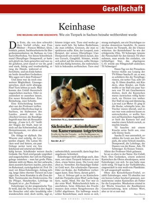 Gesellschaft

                                              Keinhase
       EINE MELDUNG UND IHRE GESCHICHTE:       Wie ein Tierpark in Sachsen beinahe weltberühmt wurde



D
        ie Erste, die von dem schreckli- könnte irriger sein. Tiere sind weder ge-       streng zoologisch, um ein Oryctolagus cu-
        chen Vorfall erfuhr, war Frau mein noch lieb. Sie haben Bedürfnisse,             niculus domesticus handelte. Es waren
        Mildner – Frances Mildner, klein, die man erfüllen, Grenzen, die man re-         die Frauen im Tierpark, die die Chance
fröhlich, patent, Sachbearbeiterin für Bür- spektieren sollte. Kim, der Leopard, zum     witterten: der Keinohrhase! So wie der
gerkommunikation im Rathaus zu Lim- Beispiel, der seinen Oberpfleger Uwe                 erfolgreiche Film, Til Schweiger könnte
bach-Oberfrohna. Vor ihrem Schreibtisch Dempewolf seit zwölf Jahren kennt, des-          die Patenschaft für den kleinen Til über-
stand Oberpfleger Dempewolf, er hatte sen Geruch, Gangbild, Stimme, würde                nehmen, man würde ihn einladen, ein
sich gleich ins Auto geworfen und war zu sich sofort auf ihn stürzen, sollte Dempe-      leibhaftiger Star, das abgelegene
ihr gefahren, jetzt stand er vor ihr, groß wolf den Käfig betreten, ihn wahrschein-      L.-O. würde ans Filmgeschäft andocken.
und stark, bärtig und trostbedürftig, er lich in Sekunden zerfleischen. Tiere sind       Til Schweiger!
rang die Hände, während er                                                                             Einen Tag vor der Pressekon-
berichtete, und am Ende hatten                                                                      ferenz rückte aus Leipzig der
sie beide denselben Gedanken:                                                                       TV-Filmer Sascha D. an, er war,
Wie sagen wir’s dem Professor?                                                                      so schildern ihn die Tierpflege-
   Und dann war da noch eine                                                                        rinnen, ein netter Typ, sehr eif-
weitere Möglichkeit. Unausge-                                                                       rig. D. filmte draußen, mit Kin-
sprochen, doch nicht abwegig.                                                                       dern, ohne Kinder, am Ende
Fünf Tiere lebten ja noch. Man                                                                      wollte er im Stall ein paar Sze-
konnte den Unfall theoretisch                                                                       nen von Til mit Geschwistern
ungeschehen machen. Oder es                                                                         drehen, doch die Kaninchen



                                                                                          WOLFGANG THIEME / PICTURE ALLIANCE / DPA
zumindest so aussehen lassen.                                                                       waren inzwischen völlig hyste-
Ein neuer Keinohrhase. Eine                                                                         risch, sie flitzten irre umher.
Betäubung, zwei Schnitte.                                                                           Der Stall ist eng und dämmerig,
   Eine Entscheidung konnte                                                                         2,50 mal 2,50 Meter. D. ging in
aber nur der Professor treffen.                                                                     die Hocke, schimpfte leise, die
   Limbach-Oberfrohna liegt in                                                                      Viecher waren überall, und ei-
Sachsen, im Südwesten des                                                                           nes war vom anderen kaum zu
Landes, unweit der tsche-                                                                           unterscheiden, er wollte Sze-
chischen Grenze; die Randlage                                                                       nen auf Kaninchen-Augenhöhe,
begreift man hier als Herausfor-         Kaninchen Til (r.), Geschwistertier                        er hielt die Kamera tief und
derung. „Come to L.-O.“ heißt                                                                       machte einen Schritt zurück, es
der Slogan der Stadt, man ist                                                                       machte knacks.
stolz auf das Schwimmbad, das                                                                          Til hauchte mit einem
Heimatmuseum, vor allem auf                                                                         Knacks seine Seele aus, eine
den Tierpark.                                                                                       sehr kleine Seele.
   Die Anlage ist idyllisch. Die                                                                       Sascha D. war untröstlich, er-
Wisente sind zottelig, die Leo-                                                                     zählen die Leute aus dem Tier-
parden elegant. Die Lamas bli-           Aus der „B. Z.“                                            park, die unter Schock standen,
cken senil und lüstern, ein paar                                                                    Dempewolf, die Lehrlinge, die
Gehege weiter turnt ein Ara                                                                         Damen von der Kasse. Ade, Til
krächzend und zeternd am Draht-                                                                     Schweiger. Es flossen Tränen.
käfig herum. Schulkinder wetzen durchs unbestechlich, unverstellt; darin liegt ihre         Allein der Professor blieb gelassen.
Gelände. Der Teich wird gerade vergrößert ungeheure Schönheit.                              So sei es eben in der Natur. Ein Unfall,
und ausgeschachtet, hier soll ein Flamingo-    Eulenberger weiß allerdings auch, dass    Pech. Den Gedanken, einem anderen
gehege entstehen – man hat große Pläne, man, um einen Tierpark bekannt zu ma-            Kaninchen die Ohren abzuknipsen, weist
dahinter steht ein Mann, der hier aufwuchs, chen, etwas bieten muss. Die Leute sind      Eulenberger von sich. So was habe man
dann auswärts Karriere machte, jetzt aber, eben so. Verwöhnt. Ein flauschiger Eisbär     nicht nötig. Til liegt in der Tiefkühltruhe,
im Ruhestand, zurückgekehrt ist: Prof. Dr. ist Gold wert. Ein schielendes Opossum.       eingewickelt in eine weiß-rote Plastiktüte.
med. vet. Klaus Eulenberger, Anfang sieb- Oder ein Krake, der Fußballtore vorher-        Er soll ausgestopft werden.
zig, lange Jahre oberster Tierarzt im Leip- sagen kann. Eine Story, darum geht’s.           Ohne den Keinohrhasen-Trubel, er-
ziger Zoo, beste Kontakte in alle Zoos der     Am 27. Februar gab es im Kaninchen-       zählt Eulenberger, wäre Til ohnehin nur
Welt, Vorsitzender des Fördervereins. Für stall des Tierparks einen Wurf: sechs Jung-    ein kurzes Leben beschert gewesen, nor-
die Pfleger, Handwerker, Lehrlinge im tiere, nackt, blind. Für das Tier war es           malerweise enden Kaninchen als Futter
Tierpark ist er „der Professor“.             der erste Wurf. Wahrscheinlich hatte es,    für die Leoparden. Mindestens einmal in
   Eulenberger ist der pragmatische Typ. unerfahren, beim Ablecken des Frucht-           der Woche brauchen die Raubkatzen
Er weiß, dass die Tiere zwar in den Augen wassers dem ersten Neugeborenen die            Ganztiernahrung, kein schönes Wort,
der Besucher edel oder knuddelig oder Löffel abgebissen. Ein halbwegs wasch-             aber so ist es nun mal.
wunderschön sind; doch nichts, sagt er, echter Keinohrhase; auch wenn es sich,                                                       RALF HOPPE

                                                 D E R   S P I E G E L   1 5 / 2 0 1 2                                                      51
 