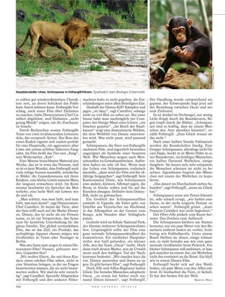 FOTOFINDER / WALT DISNEY STUDIOS / KOBAL COLLECTION




                                                                                                                                                                                                CINETEXT / ALLSTAR / DISNEY
Hauptdarsteller Löwe, Schimpanse in Fothergill-Filmen: Spektakel statt Biologie-Unterricht

es sollten gut wiedererkennbare Charak-       machern habe es nicht gegeben, die Ein-                                                              Die Handlung wurde entsprechend an-
tere sein, an deren Schicksal das Publi-      schränkungen seien allen Beteiligten klar.                                                           gepasst, der Schwerpunkt liegt jetzt auf
kum Anteil nehmen kann. Fothergills Vor-         Deshalb der Disney-Kill? Kämpfen und                                                              der Beziehung zwischen Oscar und sei-
schlag, auch einen Film über Elefanten        jagen „ist okay“, sagt Camilleri, solange                                                            nem Ziehvater.
zu machen, hatte Disneynature-Chef Ca-        nicht zu viel Blut zu sehen sei. Bei einer                                                              Es ist dunkel im Dschungel, nur wenig
milleri abgelehnt, weil Elefanten „nicht      Szene habe man nachträglich per Com-                                                                 Licht dringt durch die Baumkronen, Re-
genug Mimik“ zeigen, um die Zuschauer         puter das blutige Maul eines Löwen „ein                                                              gen tropft durch die Blätter. „Schimpan-
zu fesseln.                                   bisschen geputzt“. „Im Reich der Raub-                                                               sen sind so kräftig, dass sie einem Men-
   Durch Recherchen wusste Fothergills        katzen“ zeigt eine domestizierte Wildnis,                                                            schen den Arm abreißen könnten“, er-
Team von zwei rivalisierenden Löwenru-        die dem Weltbild von Disney unterwor-                                                                zählt Fothergill. „Zum Glück wissen sie
deln, das versprach Action. Der Boss des      fen wird. Was nicht passt, wird passend                                                              das nicht.“
einen Rudels eignete sich zudem perfekt       gemacht.                                                                                                Nach einer halben Stunde Fußmarsch
für eine Hauptrolle, ein aggressiver alter       Schimpansen, die Stars von Fothergills                                                            werden die Kundschafter fündig. Eine
Löwe mit einem sichtbar lädierten Fang-       nächstem Film, sind eigentlich besonders                                                             Gruppe Schimpansen, allerdings nicht Os-
zahn. Im Film heißt das Tier nun „Fang“,      ungeeignet als Symbole einer besseren                                                                cars Sippe, hockt in 20 Meter Höhe in ei-
sein Widersacher „Kali“.                      Welt. Wie Menschen neigen auch Men-                                                                  ner Baumkrone, ein kräftiges Männchen,
   Eine Minute brauchbares Material pro       schenaffen zu Gewaltausbrüchen. Außer-                                                               ein halbes Dutzend Weibchen, einige
Woche, das ist in etwa das Pensum, und        dem haben sie sehr oft Sex. Wenn man                                                                 Jungtiere. Sie lausen sich, sehr entspannt;
so ist es kein Wunder, dass Fothergill auch   das Leben von Schimpansen realistisch                                                                die Menschen scheinen sie nicht zu be-
viele ruhige Szenen auswählt, wunderba-       darstelle, „dann wird der Film erst für 18-                                                          achten. Irgendwann beginnt das Männ-
re Bilder: die Gepardenmama mit ihren         Jährige freigegeben“, sagt Fothergill. Sein                                                          chen mit einem der Weibchen zu kopu-
Kindern, eine kleine Löwin namens Mara,       Kameramann filmte, wie Schimpansen                                                                   lieren.
die langsam erwachsen wird. Im Kom-           eine andere, kleinere Affenart jagen, die                                                               „Das dauert im Durchschnitt sieben Se-
mentar beschwört ein Sprecher die Mut-        Beute in Stücke reißen und bis auf die                                                               kunden“, sagt Fothergill, „wenn sie Glück
terliebe, eine heile Welt mit Löwen wie       Knochen abnagen. Definitiv kein Disney-                                                              hat.“
du und ich.                                   Kill, nicht zu gebrauchen.                                                                              Schimpansen seien wie Porno-Darstel-
   „Man schützt, was man liebt, und man          Ein Großteil des Schimpansenfilms                                                                 ler, sehr schnell erregt, „wir hatten eine
liebt, was man kennt“, sagt Disneynature-     entsteht in Uganda; die Fahrt geht von                                                               Szene, in der sechs erigierte Penisse zu
Chef Camilleri. Er meint die Tiere, aber      Entebbe am Victoria-See ins Hochland,                                                                sehen waren“. Fothergill grinst. „Jean-
der Satz trifft auch auf die Marke Disney     in das Affengebiet an der Grenze zum                                                                 François Camilleri war nicht begeistert.“
zu. Disney, das ist mehr als ein Firmen-      Kongo, acht Stunden über Schlagloch-                                                                    Der Ober-Affe pinkelt vom Baum her-
name, es ist ein Versprechen, das Syno-       pisten.                                                                                              unter. Das Zeichen zum Aufbruch.
nym für keimfreie Unterhaltung für die           Gedreht wird im Kibale National Park,                                                                Die Schimpansen klettern am Stamm
ganze Familie. Der global vermarktbare        der Heimat mehrerer Schimpansenfami-                                                                 herunter, nur ein paar Meter von den Be-
Film, das ist das Ziel, ein Produkt, das      lien. Ursprünglich sollte der Film eine                                                              suchern entfernt laufen sie vorbei, breit-
sechsjährige Japaner ebenso mögen wie         ganz normale Schimpansenkindheit do-                                                                 beinig wie Fußballprofis. Unter einem
Großmütter in Texas oder Teenager in          kumentieren. Ein niedlicher Hauptdar-                                                                Busch bleiben sie sitzen, einige schmat-
Berlin.                                       steller war bald gefunden, ein kleiner                                                               zen, es sieht beinahe aus wie eine ganz
   Was also kann man zeigen in einem Dis-     Affe, den das Team „Oscar“ taufte. Doch                                                              normale Großfamilie beim Picknick. Ein
neynature-Film? Fressen, gefressen wer-       dann starb dessen Mutter, was im Urwald                                                              kleiner Schimpanse will ausbüxen, er han-
den, Geparden-Sex?                            meist auch den baldigen Tod der Nach-                                                                gelt unsicher an einem Ast, ein Weibchen
   „Wir wollen Eltern, die mit ihren Kin-     kommen bedeutet. „Wir standen kurz da-                                                               zieht ihn routiniert an die Brust. Ein Idyll
dern einen solchen Film sehen, nicht in       vor, Disney anzurufen und ihnen zu sa-                                                               wie in einem Disney-Film.
eine Situation bringen, in der sie Fragen     gen: Es gibt keinen Film“, sagt Fothergill.                                                             Fothergill hockt sich auf den Wald-
beantworten müssen, die sie nicht beant-         Doch Affe und Affen-Regisseur hatten                                                              boden, ein paar Meter von den Affen ent-
worten wollen. Wir sind da sehr vorsich-      Glück: Ein fremdes Männchen adoptierte                                                               fernt. Er beobachtet die Tiere, er lächelt.
tig“, sagt Camilleri. Spezielle Absprachen    Oscar, „so etwas hat bisher noch nie-                                                                Er hat den besten Job der Welt.
mit Fothergill und den anderen Filme-         mand filmen können“, sagt Fothergill.                                                                                               MARTIN WOLF

124                                                  D E R   S P I E G E L   1 6 / 2 0 1 2
 