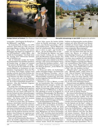 GERALD TRAUFETTER / DER SPIEGEL
Geologe Calmant auf Vanikoro: Der Planet ist keine starre Kugel                                                    Überspülte Kokosplantage im April 2009: Symptom der globalen

verwenden. „Jetzt beginnt der Kampf um            Zwei Jahre waren die beiden Schiffe Schleier aus Regentropfen tauchen Kokos-
die Millimeter“, sagt Ballu.                   schon im Pazifik unterwegs, als Lapé- palmen auf, deren Wurzeln vom Wasser
   Sie kontrolliert die Position der GPS-      rouse, vom Skorbut gezeichnet, 1788 in entblößt am Strand liegen. Sind das die
Antenne. Dann bittet sie Alek, noch ein        einen Zyklon geriet. „Als die Männer die ersten Indizien einer sinkenden Insel oder
paar junge Bäume zu fällen, die den Emp-       Insel im schäumenden Meer entdeckten, eines steigenden Meeresspiegels?
fang stören. „Wir brauchen für unsere          war es schon zu spät“, sagt Geodät Le         Geodätin Ballu will mit den Bewohnern
Messungen das Signal von möglichst vie-        Breus, „da war das Riff schon zu nah.“      reden, um von ihnen mehr über das Ver-
len GPS-Satelliten“, erklärt Ballu, „das          Das Schicksal der Männer von Lapé- halten des Meeres zu erfahren. Der
erhöht die Genauigkeit.“ Am Ende weist         rouse fesselte Anfang des 19. Jahrhun- sprachkundige François, 40, soll ihr dabei
die Anzeige ihres GPS-Geräts Kontakt           derts die Menschen in ganz Europa. Das helfen. Doch der ist bald ganz gefangen
mit 16 Satelliten aus.                         Unglück beschert der kleinen Südseeinsel von dem, was er nachher als „Sternstunde
   Alle 30 Sekunden werden die Geräte          Vanikoro sogar einen Auftritt in der Welt- eines Linguisten“ bezeichnen wird. Sie
die Positionsdaten der Satelliten speichern,   literatur: Jules Verne ließ Kapitän Nemo tritt ihm entgegen in Gestalt eines Mannes
48 Stunden lang. „Je länger wir messen,        zum Wrack der Seefahrer tauchen. „Ach! mit verwaschenem Nike-T-Shirt, schütte-
desto präziser die Ergebnisse“, so Ballu.      Ein schöner Tod für einen Seemann“, sagt rem Haar, hohen Wangenknochen und
   Das Auf und Ab der Erdkruste im Mil-        der Held des Romans „20 000 Meilen un- flacher Nase. Lainol Nalo heißt er und ist
limeter-Maßstab zu bestimmen ist eine          ter dem Meer“.                              „Chief“ hier, der Anführer im Dorf.
komplexe Angelegenheit. Denn der Pla-             Le Breus war dabei, als Archäologen        „Mamabo apika“, sagt Alexandre Fran-
net ist keine starre Kugel, sondern wird       Anker und Gläser bargen. Am Strand stie- çois. „Mamabo apika“, grüßt Lainol zu-
ständig verformt durch den Einfluss der        ßen sie auf Münzen, Porzellan – und ei- rück. „Das ist Tanema“, ruft François be-
Schwerkräfte von Mond und Sonne, aber          nen Schädel, der sich einem mitreisenden geistert. Viel mehr als die Begrüßung
auch Planeten wie Mars und Jupiter.            Wissenschaftler zuordnen ließ. Jetzt steht kennt er nicht von dieser Sprache. Und
   Sie zerren nicht nur an der Erdober-        an dem tragischen Ort ein GPS-Gerät und wenn er sie erlernen will, dann ist Lainol
fläche, sondern auch an den GPS-Satelli-       zeichnet Daten auf.                         der einzige Mensch auf diesem Planeten,
ten, die in ihrer Umlaufbahn förmlich her-        Zwischen 0,5 und 1,2 Metern, so wird der sie ihm noch beibringen könnte.
umeiern. „Das alles bedeutet Ungenau-          der im kommenden Jahr erscheinende            François kramt sein digitales Aufnahme-
igkeit“, erklärt Ballu.                        Weltklimabericht aussagen, werden die gerät heraus und spielt Lainol eine Stim-
   Sie steigt über zwei Baumstämme, die        Meere bis zum Jahr 2100 ansteigen. Die me vor, die dieser nur zu gut kennt. Sie
sich über einen sumpfigen Bach spannen,        globale Erwärmung schlage bereits heute gehört seiner Großmutter. Im vergange-
zurück zum Strand. Geologe Calmant             jedes Jahr mit 1,8 Millimetern zu Buche. nen Jahr ist sie gestorben. 105 Jahre war
schreitet ihn mit einem GPS-Gerät ab,          Das allerdings ist wenig im Vergleich zu sie alt, auch sie sprach Tanema.
um den Verlauf mit alten Aufzeichnungen        natürlichen Schwankungen: Die Menschen        Bei seinem letzten Besuch hat François
zu vergleichen. Alain Le Breus deutet auf      von Vanikoro, so wie die Bewohner der aufgezeichnet, wie die Hundertjährige
verrottende Baumwurzeln, die im Wasser         meisten Südseeinseln, müssen mit Schwan- ihm eine Geschichte erzählte. Jetzt will
stehen. „Da hinten verlief bei meinem          kungen um 20 Zentimeter fertigwerden. sich François den Text übersetzen lassen.
ersten Besuch die Küste“, sagt er.             Grund dafür sind Strömungen im Pazifik, „So komme ich nicht nur den Vokabeln,
   Le Breus ist schon öfter auf Vanikoro       etwa das Klimaphänomen El Niño.             sondern auch dem Satzbau und der Struk-
gewesen, doch bisher trieb ihn etwas an-          Valérie Ballu drängt. Keine 48 Stunden tur der Sprache auf die Spur“, erklärt er.
deres hierher. „Wir stehen hier auf histo-     haben sie Zeit, um zu klären, ob die Küs-     Sprache, das ist mehr als nur ein Mittel
rischem Boden“, verkündet er und weist         te auch an anderen Stellen der Insel zur Verständigung. „Sie ist zugleich eine
auf einen Gedenkstein mit bronzener Ta-        schwindet. Die Forscher wollen ins Dorf Form des Gedächtnisses“, sagt François.
fel. An diesen Strand, berichtet Le Breus,     Temuo auf der Ostseite des Eilands. Nach Sie stecke voller Kenntnisse über die In-
hätten sich die tapferen Seeleute des Ent-     dem Mittagessen auf ihrem Forschungs- sel, deren Pflanzen und über das Meer
deckers Jean-François de Lapérouse ge-         schiff „Alis“, betrieben durch das Institut mit seinen Gesetzen. „Wenn der letzte
flüchtet, nachdem ihre Schiffe draußen         de recherche pour le développement, las- Sprecher einer Sprache stirbt, dann wan-
auf dem Riff gesunken waren.                   sen sie das Motorboot zu Wasser.            dern mit ihm auch all das Wissen und die
   Kurz vor der Französischen Revolution          Noch bevor sie die aufgeregten Dorf- Geschichten mit ins Grab“, sagt François.
waren die Schiffe aufgebrochen, entsen-        bewohner erreichen, prasselt ein Tropen-      Gerade die Inselwelt des Südpazifiks
det vom bedrängten Regenten Louis XVI.         schauer nieder. Durch den dampfenden ist ein einzigartiges Sprachlabor. Nur 0,1
120                                                  D E R   S P I E G E L   2 4 / 2 0 1 2
 