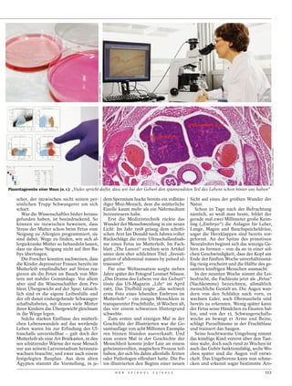 ILONA HABBEN / DER SPIEGEL




                                                                                                                                             FOTOS: ILONA HABBEN / DER SPIEGEL
                                               ILONA HABBEN / DER SPIEGEL




Plazentagewebe einer Maus (o. r.): „Vieles spricht dafür, dass wir bei der Geburt den spannendsten Teil des Lebens schon hinter uns haben“

    scher, der inzwischen nicht seinen per- dem Spermium hocke bereits ein vollstän- Sicht auf eines der größten Wunder der
    sönlichen Trupp Schwangerer um sich diger Mini-Mensch, dem die mütterliche Natur.
    schart.                                     Eizelle kaum mehr als ein Nährmedium        Schon 20 Tage nach der Befruchtung
       Was die Wissenschaftler bisher heraus- beizusteuern habe.                          nämlich, so weiß man heute, bildet der
    gefunden haben, ist beeindruckend. So         Erst die Medizintechnik rückte das gerade mal zwei Millimeter große Keim-
    können sie inzwischen beweisen, dass Wunder der Menschwerdung in ein neues ling („Embryo“) die Anlagen für Leber,
    Stress der Mutter schon beim Fetus eine Licht: Im Jahr 1958 gelang dem schotti- Lunge, Magen und Bauchspeicheldrüse,
    Neigung zu Allergien programmiert, sie schen Arzt Ian Donald nach Jahren voller sogar die Herzklappen sind bereits vor-
    sind dabei, Wege zu finden, wie sich al- Rückschläge die erste Ultraschallaufnah- geformt. An der Spitze des primitiven
    lergiekranke Mütter so behandeln lassen, me eines Fetus im Mutterleib. Im Fach- Neuralrohrs beginnt sich das winzige Ge-
    dass sie diese Neigung nicht auf ihre Ba- blatt „The Lancet“ erschien sein Artikel hirn zu formen – von da an in einer sol-
    bys übertragen.                             unter dem eher schlichten Titel „Investi- chen Geschwindigkeit, dass der Kopf am
       Die Forscher konnten nachweisen, dass gation of abdominal masses by pulsed ul- Ende der fünften Woche unverhältnismä-
    die Kinder depressiver Frauen bereits im trasound“.                                   ßig riesig erscheint und die Hälfte des ge-
    Mutterleib empfindlicher auf Stress rea-      Für eine Weltsensation sorgte sieben samten künftigen Menschen ausmacht.
    gieren als die Feten im Bauch von Müt- Jahre später der Fotograf Lennart Nilsson.       In der neunten Woche nimmt die Lei-
    tern mit stabiler Gemütslage. Vor allem „Das Drama des Lebens vor der Geburt“ besfrucht, die Fachleute jetzt als „Fetus“
    aber sind die Wissenschaftler dem Pro- tönte das US-Magazin „Life“ im April (Nachkomme) bezeichnen, allmählich
    blem Übergewicht auf der Spur; tatsäch- 1965. Das Titelbild zeigte „das weltweit menschliche Gestalt an. Die Augen wan-
    lich sind es die eigene Leibesfülle und erste Foto eines lebenden Embryos im dern von den Schläfen nach vorn, es
    der oft damit einhergehende Schwanger- Mutterleib“ – ein rosiges Menschlein in wachsen Lider, auch Ohrmuscheln sind
    schaftsdiabetes, mit denen viele Mütter transparenter Fruchthülle, 18 Wochen alt, bereits zu erkennen. Wenig später kann
    ihren Kindern das Übergewicht gleichsam das vor einem schwarzen Hintergrund der Fetus seine Händchen zu Fäusten bal-
    in die Wiege legen.                         schwebte.                                 len, und von der 15. Schwangerschafts-
       Solche starken Einflüsse des mütterli-     Zum ersten und einzigen Mal in der woche an bewegt er Arme und Beine,
    chen Lebenswandels auf das werdende Geschichte der Illustrierten war die Ge- schlägt Purzelbäume in der Fruchtblase
    Leben waren bis zur Erfindung des Ul- samtauflage von acht Millionen Exempla- und trainiert das Saugen.
    traschalls unvorstellbar – galt doch der ren binnen Stunden ausverkauft. Und            Seine feuchtwarme Umgebung nimmt
    Mutterleib als eine Art Brutkasten, in des- zum ersten Mal in der Geschichte der das künftige Kind vorerst über den Tast-
    sen schützender Wärme der neue Mensch Menschheit konnte jeder Laie an einem sinn wahr, doch nach rund 20 Wochen ist
    nur aus seinem Larvenstadium herauszu- geheimnisvollen, magischen Prozess teil- auch das Gehör funktionsfähig, sechs Wo-
    wachsen brauchte, und zwar nach einem haben, der sich bis dahin allenfalls Ärzten chen später sind die Augen voll entwi-
    festgelegten Bauplan. Aus dem alten oder Pathologen offenbart hatte. Die Fo- ckelt. Das Ungeborene kann nun schme-
    Ägypten stammt die Vorstellung, in je- tos illustrierten den Beginn einer neuen cken und erkennt sogar bestimmte Aro-
                                                                            D E R   S P I E G E L   2 5 / 2 0 1 2                      123
 