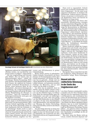 Dann wird es ungemütlich. Schwab
                                                                                                                           trennt seine werdenden Schafsmütter von
                                                                                                                           ihren Artgenossen – für die sonst so ge-
                                                                                                                           nügsamen Herdentiere ist Isolation die
                                                                                                                           Höchststrafe. Anderen spritzt er Betame-
                                                                                                                           thason, um genauer zu untersuchen, wel-
                                                                                                                           che Reaktionen Stress und Steroid im
                                                                                                                           Schafsfetus in Gang setzen.
                                                                                                                              Bisherige Ergebnisse: Bei Stress oder
                                                                                                                           künstlichen Stresshormonen verengen
                                                                                                                           sich die mütterlichen Blutgefäße, der Sau-
                                                                                                                           erstoffgehalt des fetalen Bluts sinkt, dafür
                                                                                                                           steigt die Konzentration an Milchsäure.
                                                                                                                           „Auf diese Veränderungen reagieren auch
                                                                                                                           die Wachstumshormone im kindlichen
                                                                                                                           Organismus“, erklärt Schwab – das könn-
                                                                                                                           te dazu führen, dass bestimmte Systeme
                                                                                                                           im Gehirn überhastet heranreifen. Bei
                                                                                                                           Schwabs Schafen etwa entwickeln sich
                                                                                                                           bestimmte Schlafstadien schneller, unter-
                                                                                                                           scheiden sich aber deutlich von den nor-
                                                                                                                           malen Mustern – so durchläuft das Schafs-
                                                                                                                           gehirn die Schlafphasen wesentlich
                                                                                                                           schneller als normalerweise.
                                                                                                                              Ratten wiederum schlägt das Lungen-
                                                                                                                           reifungsmittel aufs Gemüt, auch das hat
                                                                                                                           Schwab schon nachgewiesen. Gab er den
                                                                                                                           Nagern während der Trächtigkeit Beta-
                                                                                                                           methason, wurde deren Nachwuchs im
                                                                                                                           Alter depressiv. Anders als ihre Artge-


                                                                                          MARTIN JEHNICHEN / DER SPIEGEL
                                                                                                                           nossen zeigten die Ratten wenig Interesse
                                                                                                                           am Zuckerwasser, das ihnen als Alterna-
                                                                                                                           tive zum gewohnten Leitungswasser ge-
                                                                                                                           reicht wurde. Warfen die Forscher sie in
                                                                                                                           ein Wasserbecken, ließen sie sich traurig
                                                                                                                           treiben, statt beherzt um ihr Leben zu
                                                                                                                           paddeln. Auch die Schwermut der Mäuse
Neurologe Schwab mit trächtigem Schaf im OP: Livestream aus dem Mutterleib                                                 schreibt Schwab einer gestörten Reifung
                                                                                                                           der Stress-Reaktionskette während der
Injektionen während der Schwangerschaft      ärzten und OP-Schwestern in grüner                                            Trächtigkeit zu.
offenbar reichen, um ein Kind für sein       Schutzkleidung.                                                                  Dass großer Stress tatsächlich das Erb-
ganzes Leben zu prägen?“, fragt Schwab.         Weiter hinten warten in gekachelten                                        gut modifiziert, haben Konstanzer Wis-
   „Für die Lungenreifung sind Steroide      Ställen Schwabs Versuchstiere auf ihren                                       senschaftler belegt: Wenn Schwangere
sehr effektiv, aber wir wissen, dass sie     Einsatz: In Dreiergrüppchen stehen dort
Nebenwirkungen haben“, erklärt der           Schafe beisammen, ein Züchter aus Wei-
Würzburger Kinder-Pneumologe Wolf-           mar hat sie gebracht. „Schafe sind ein                                        Brennt sich die
gang Thomas. Zum Beispiel hätten Babys       ideales Modell für die Pränatalforschung“,                                    mütterliche Stimmung
jener Frauen, die während der Schwan-        erklärt Schwab, „sie bekommen meistens
gerschaft wiederholt Betamethason er-        Einlinge wie Menschen, und sie sind                                           in der Seele des
hielten, einen kleineren Kopf als der        schwer aus der Ruhe zu bringen.“
Durchschnitt. „Seit 2009 ist deswegen die       Vor allem das ist praktisch, denn im                                       Ungeborenen ein?
Empfehlung, die Lungenreifungsmittel         Herbst, wenn die Schafe Lämmer erwar-
nur einmal zu geben und auf die bis dahin    ten, wird Schwab jedes einzelne von ih- von ihren Partnern misshandelt werden,
übliche Wiederholung der Therapie zu         nen auf den OP-Tisch legen. In Vollnar- verändert sich bei ihren Kindern dauer-
verzichten.“ Nach der vollendeten 34.        kose öffnet der Wissenschaftler dann die haft das Gen für sogenannte Glucocorti-
Schwangerschaftswoche wird ganz auf          Gebärmutter und zieht ein halbfertiges coid-Rezeptoren, jene molekularen Sen-
die Injektion verzichtet.                    Schafsbaby ans Licht, eben weit genug, soren, die Stresshormone wie Cortisol er-
   Doch was genau geschieht im unreifen      um ihm EEG-Elektroden in den Schädel kennen und wie eine Schaltstation weite-
System, wenn es von Stresshormonen ge-       zu piksen. Er legt einen Venenkatheter re Reaktionen des Gehirns vermitteln.
flutet wird? Um das herauszufinden, fährt    zum Blutabnehmen und befestigt Kabel „Der Körper der Mutter signalisiert diesen
Forscher Schwab regelmäßig vom Klini-        zur Messung des fetalen Herzschlags. Kindern, dass sie in einer bedrohlichen
kum in die Jenaer Innenstadt. Schon im       Dann darf das Baby zurück in den Bauch Umgebung aufwachsen werden“, mut-
bunt bepflanzten Hof des Gebäudes in         der Mutter.                                maßt der Konstanzer Psychologe Thomas
der Dornburger Straße riecht es nach            Aus dem hängt dann bis zu einem wei- Elbert, „im späteren Leben sind diese
Landwirtschaft, und im Inneren des In-       teren Kaiserschnitt am Ende der Träch- Kinder ängstlicher und weniger neugierig,
stituts für Versuchstierkunde weiß der Be-   tigkeit in einer Art Netzstrumpf ein bun- ihre Stressachse ist anfälliger als die an-
sucher schnell, warum. Auf einer metal-      ter Kabelsalat; der Livestream aus dem derer Menschen.“
lenen Liege schlummert gerade ein nar-       Mutterleib wird an ein Computerterminal       Was aber, wenn die Mutter nicht ge-
kotisiertes Schwein, umgeben von Tier-       gesendet.                                  stresst, sondern ihrerseits depressiv ist?
                                                  D E R   S P I E G E L   2 5 / 2 0 1 2                                                                            127
 