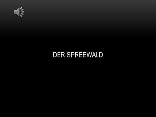 DER SPREEWALD 
 