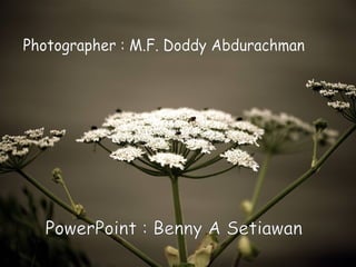Photographer : M.F. Doddy Abdurachman PowerPoint : Benny A Setiawan 