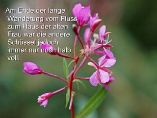 Am Ende der lange Wanderung vom Fluss zum Haus der alten Frau war die andere Schüssel jedoch immer nur noch halb voll.  