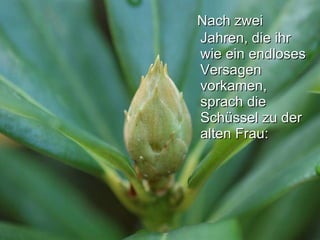 Nach zwei Jahren, die ihr wie ein endloses Versagen vorkamen, sprach die Schüssel zu der alten Frau:   