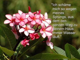 "Ich schäme mich so wegen meines Sprungs, aus dem den ganzen Weg zu deinem Haus immer Wasser läuft."   