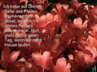 Ich habe auf deiner Seite des Pfades Blumensamen gesät, weil ich mir deines Fehlers bewusst war. Nun gießt du sie jeden Tag, wenn wir nach Hause laufen.   