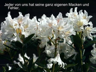 Jeder von uns hat seine ganz eigenen Macken und Fehler,   