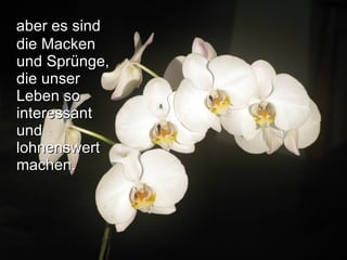 aber es sind die Macken und Sprünge, die unser Leben so interessant und lohnenswert machen.   