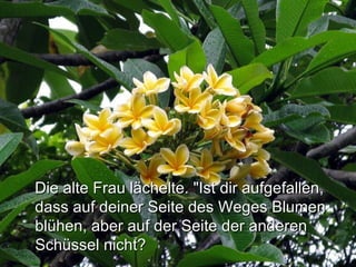 Die alte Frau lächelte. "Ist dir aufgefallen,Die alte Frau lächelte. "Ist dir aufgefallen,
dass auf deiner Seite des Weges Blumendass auf deiner Seite des Weges Blumen
blühen, aber auf der Seite der anderenblühen, aber auf der Seite der anderen
Schüssel nicht?Schüssel nicht?
 