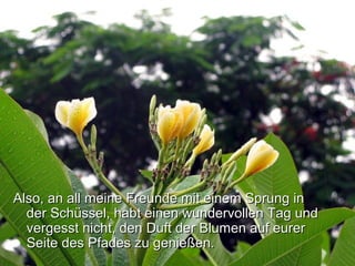 Also, an all meine Freunde mit einem Sprung inAlso, an all meine Freunde mit einem Sprung in
der Schüssel, habt einen wundervollen Tag undder Schüssel, habt einen wundervollen Tag und
vergesst nicht, den Duft der Blumen auf eurervergesst nicht, den Duft der Blumen auf eurer
Seite des Pfades zu genießen.Seite des Pfades zu genießen.
 