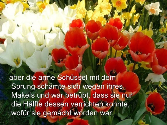 Der Sprung in der Schuessel