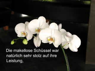 Die makellose Schüssel warDie makellose Schüssel war
natürlich sehr stolz auf ihrenatürlich sehr stolz auf ihre
Leistung,Leistung,
 