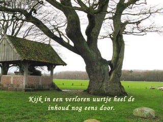 Kijk in een verloren uurtje heel de
      inhoud nog eens door.
 