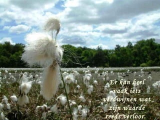 Er kan heel
Er kan heeliets
      vaak vaak
iets verdwijnen
  verdwijnen wat
wat zijn waarde
     zijn waarde
 reeds verloor.
   reeds verloor.
 