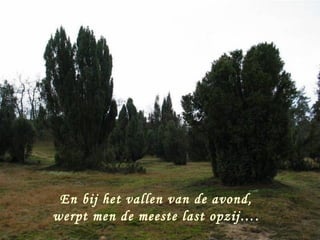 En bij het vallen van de avond,
werpt men de meeste last opzij….
 