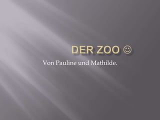                Der zoo  Von Pauline und Mathilde. 