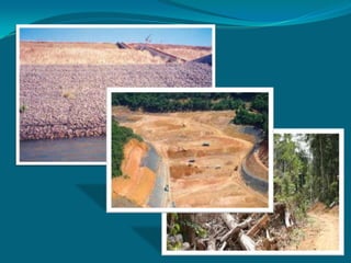 Desenvolvimento Sustentável