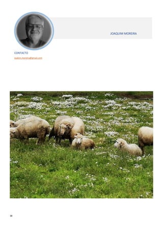 38
CONTACTO
joakim.moreira@gmail.com
JOAQUIM MOREIRA
 