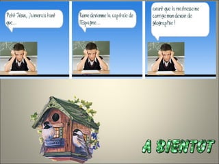 Des birds vi pises 2