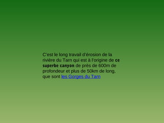 C’est le long travail d’érosion de la
rivière du Tarn qui est à l’origine de ce
superbe canyon de près de 600m de
profondeur et plus de 50km de long,
que sont les Gorges du Tarn
 