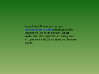 À quelques 40 minutes de Lyon,
les Grottes de la Balme regroupent des
labyrinthes, de petits bassins, un lac
souterrain, des stalactites et stalagmites,
et…pas moins de 22 espèces de chauves-
souris.
 
