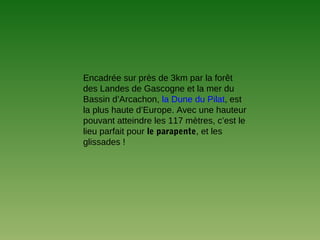 Encadrée sur près de 3km par la forêt
des Landes de Gascogne et la mer du
Bassin d’Arcachon, la Dune du Pilat, est
la plus haute d’Europe. Avec une hauteur
pouvant atteindre les 117 mètres, c’est le
lieu parfait pour le parapente, et les
glissades !
 
