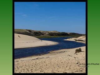 Le Courant d’Huchet
En Aquitaine
 