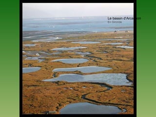 Le bassin d’Arcachon
En Gironde
 