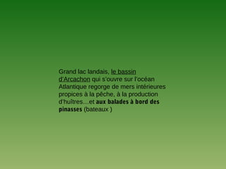 Grand lac landais, le bassin
d’Arcachon qui s’ouvre sur l’océan
Atlantique regorge de mers intérieures
propices à la pêche, à la production
d’huîtres…et aux balades à bord des
pinasses (bateaux )
 