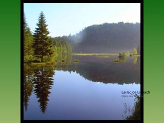 Le lac de Lispach
Dans les Vosges
 