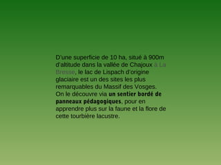 D’une superficie de 10 ha, situé à 900m
d’altitude dans la vallée de Chajoux à La
Bresse, le lac de Lispach d’origine
glaciaire est un des sites les plus
remarquables du Massif des Vosges.
On le découvre via un sentier bordé de
panneaux pédagogiques, pour en
apprendre plus sur la faune et la flore de
cette tourbière lacustre.
 
