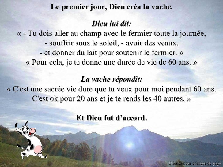 Les 7 Vies De La Fin Explication Des Explications Sur Notre Duree De Vie
