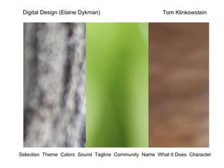 Selection  Theme  Colors  Sound  Tagline  Community  Name  What It Does  Character   Tom Klinkowstein Digital Design (Elaine Dykman) 