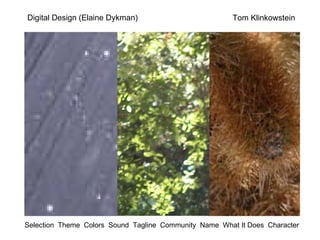 Tom Klinkowstein Digital Design (Elaine Dykman) Selection  Theme  Colors  Sound  Tagline  Community  Name  What It Does  Character 