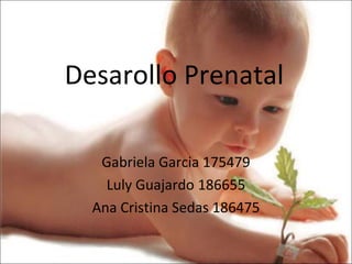 Desarollo Prenatal
Gabriela Garcia 175479
Luly Guajardo 186655
Ana Cristina Sedas 186475
 