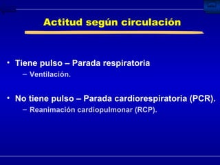Actitud según circulación Tiene pulso – Parada respiratoria Ventilación. No tiene pulso – Parada cardiorespiratoria (PCR). Reanimación cardiopulmonar (RCP). 
