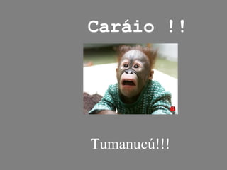 Caráio !! Tumanucú!!! 