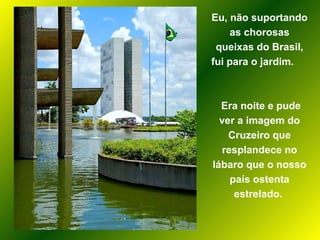 Eu, não suportando as chorosas queixas do Brasil, fui para o jardim.  Era noite e pude ver a imagem do Cruzeiro que resplandece no lábaro que o nosso país ostenta estrelado.  