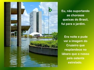 Eu, não suportando as chorosas queixas do Brasil, fui para o jardim.  Era noite e pude ver a imagem do Cruzeiro que resplandece no lábaro que o nosso país ostenta estrelado.  