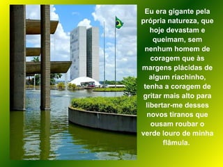 Eu era gigante pela própria natureza, que hoje devastam e queimam, sem nenhum homem de coragem que às margens plácidas de algum riachinho, tenha a coragem de gritar mais alto para libertar-me desses novos tiranos que ousam roubar o verde louro de minha flâmula.  