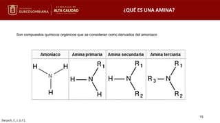 ¿QUÉ ES UNA AMINA?
15
Son compuestos químicos orgánicos que se consideran como derivados del amoniaco
Derpich, C. J. (s.f.).
 