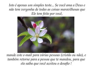 Isto é apenas um simples teste... Se você ama a Deus e
não tem vergonha de todas as coisas maravilhosas que
Ele tem feito por você,
mande este e-mail para várias pessoas (cristãs ou não), e
também retorne para a pessoa que te mandou, para que
ela saiba que você aceitou o desafio !
 
