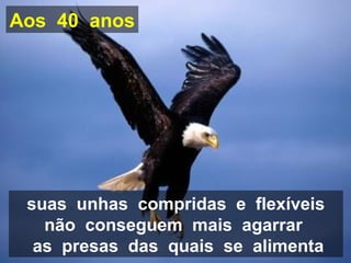 Aos 40 anos




 suas unhas compridas e flexíveis
   não conseguem mais agarrar
  as presas das quais se alimenta
 