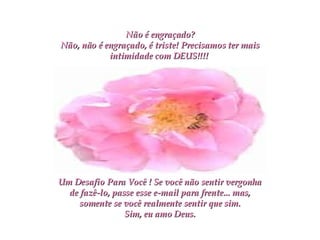 Não é engraçado? Não, não é engraçado, é triste! Precisamos ter mais intimidade com DEUS!!!!   Um Desafio Para Você ! Se você não sentir vergonha de fazê-lo, passe esse e-mail para frente... mas, somente se você realmente sentir que sim. Sim, eu amo Deus. 