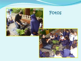Fotos 