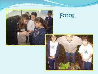 Fotos 