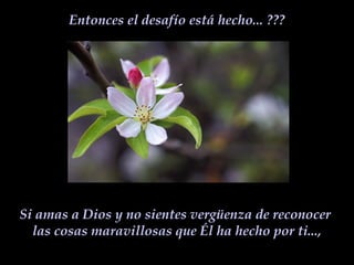Entonces el desafío está hecho... ???
Si amas a Dios y no sientes vergüenza de reconocer
las cosas maravillosas que Él ha hecho por ti...,
 